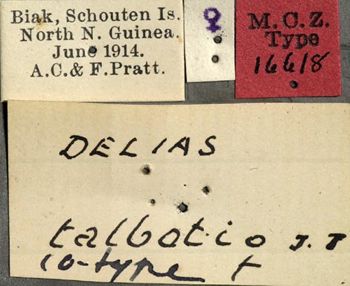 Media type: image;   Entomology 16618 Aspect: labels